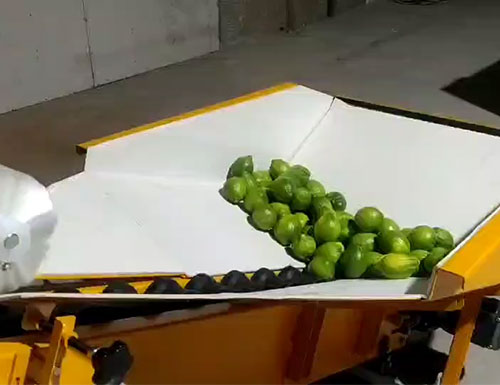 水果套袋機