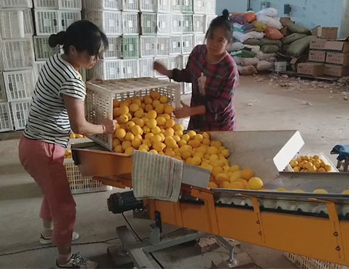 水果套袋機